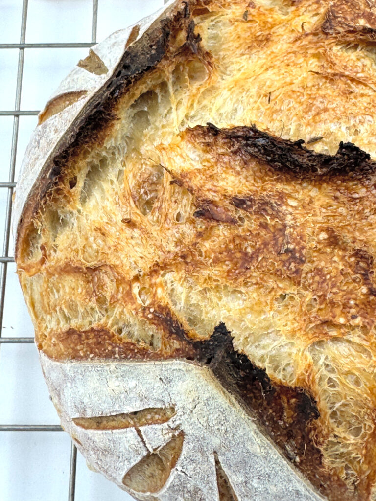 Orange Zest Sourdough Boule on Cooling Rack