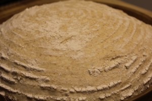 10-percent-whole-wheat-loaf_002