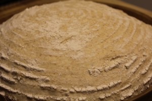 10-percent-whole-wheat-loaf_002