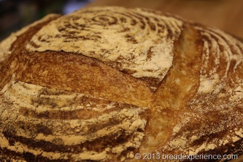 Bread Cloche • The Farmhouse Project