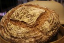 10 Percent Whole Wheat Saturday Bread