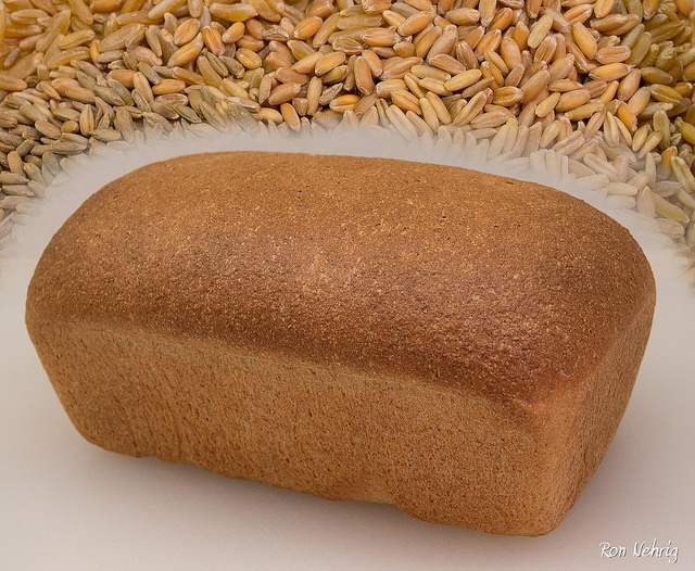 Grain to Bread, the Staff of Life Khorasan Wheat, Spelt Wheat, Oats, Rye, and Hard White Spring Wheat.
