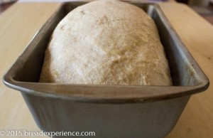1805-potato-bread-7