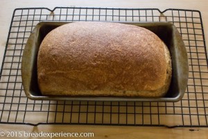 1805-potato-bread-8