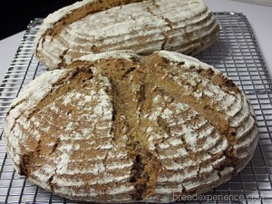 90-percent-sourdough-rye 016