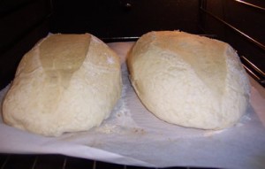 BBA-vienna-bread 028