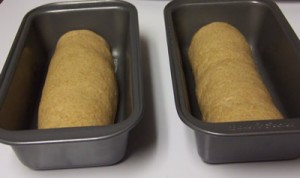 BBA-whole-wheat-bread 025