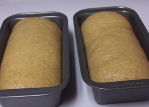 BBA-whole-wheat-bread 027