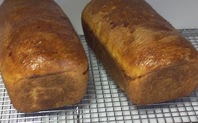 White bread cooling on rack