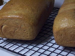 BBA-whole-wheat-bread 034