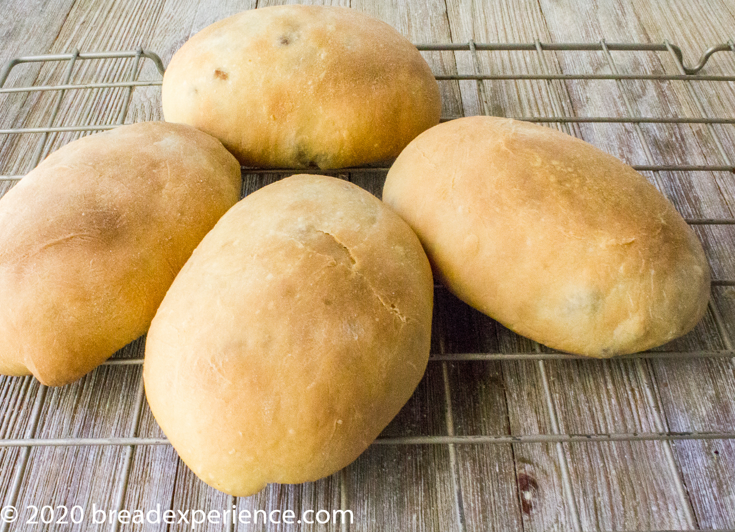 Sourdough Bierocks Runzas