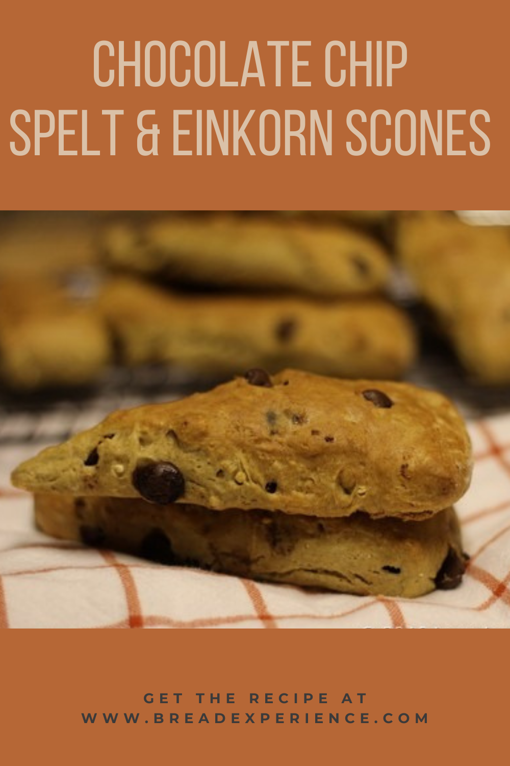 Chocolate Chip Spelt & Einkorn Scones