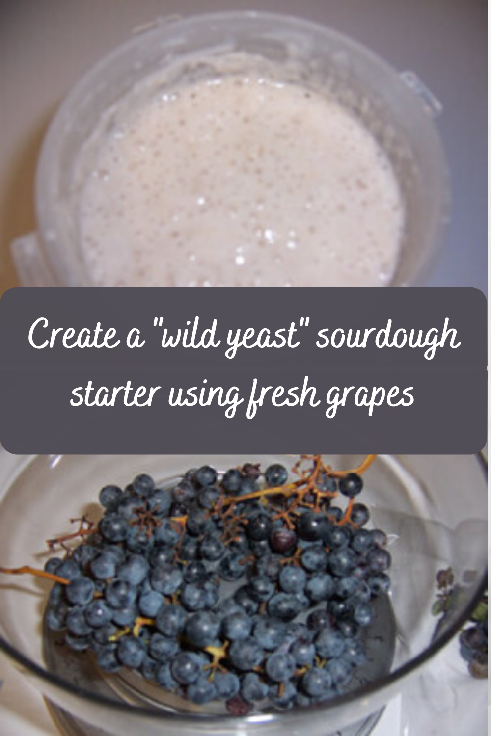 Grape sourdough starter