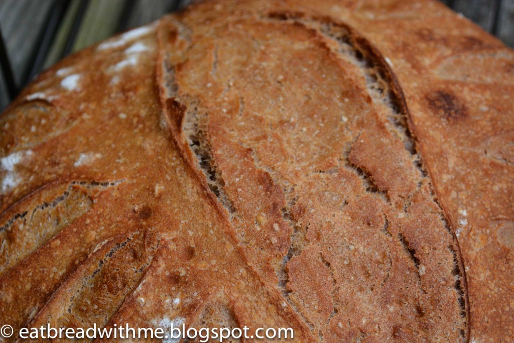 Sourdough Tapioca Bread