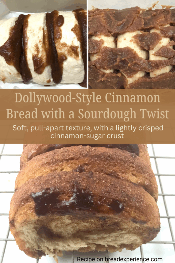 Dollywood Cinnamon Bread Sourdough Twist Pin