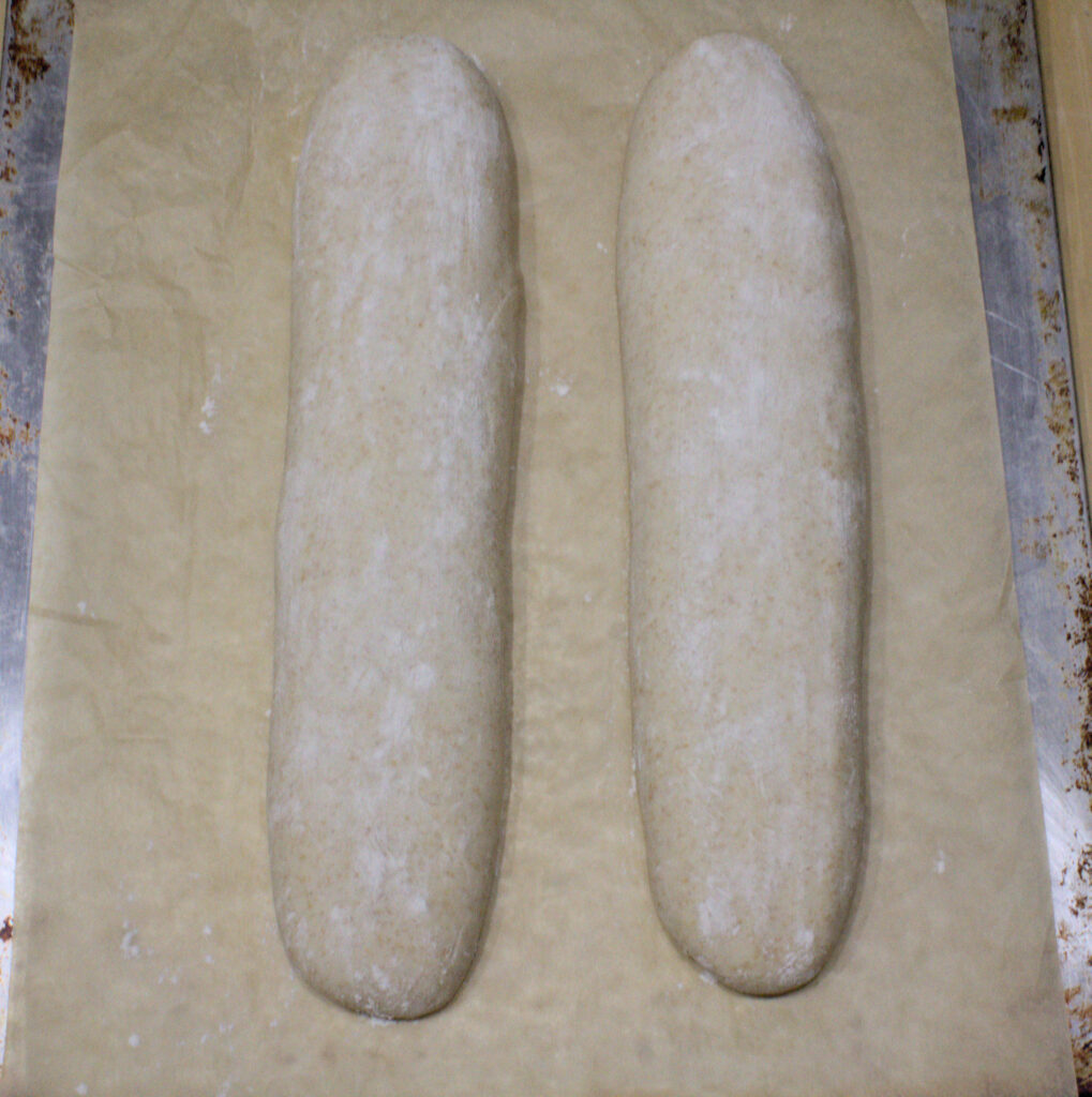 Two shaped sourdough NOLA French bread loaves on parchment paper, left unscored, ready for baking.
