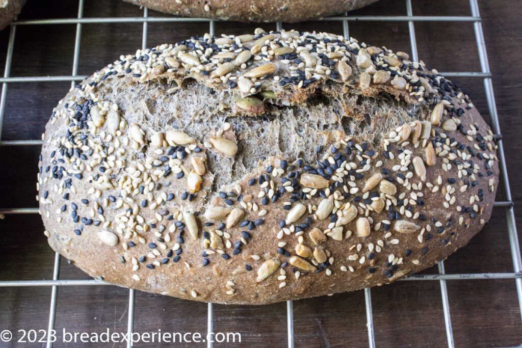 Mixed Grain Seeded Ciabatta with Buckwheat 