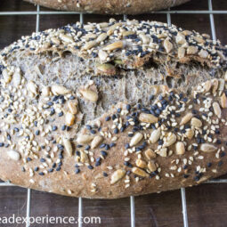 Mixed Grain Seeded Ciabatta with Buckwheat