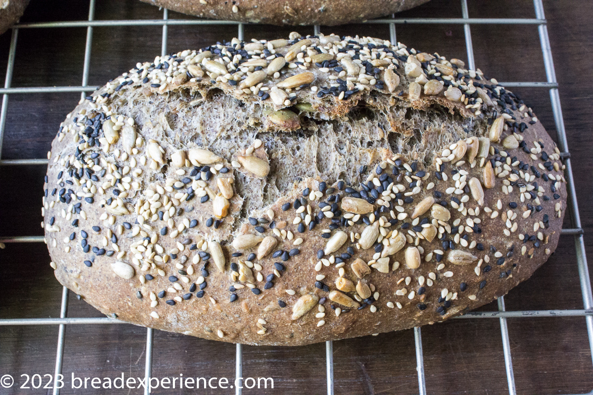 Mixed Grain Seeded Ciabatta with Buckwheat