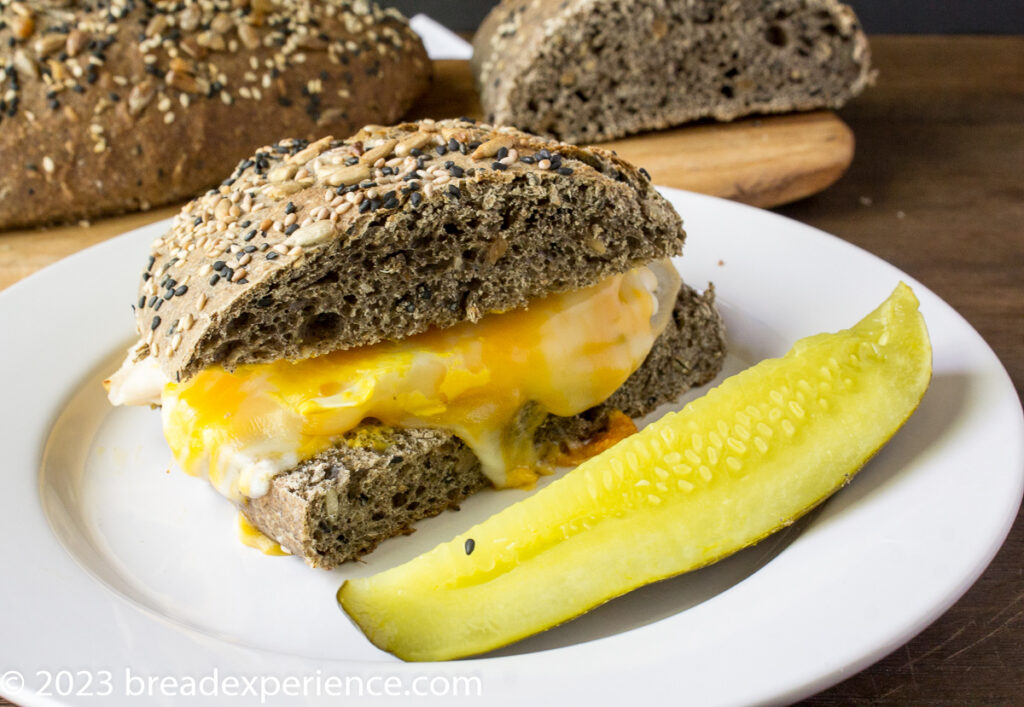 Turkey Sandwich on Mixed Grain Seeded Ciabatta with Buckwheat