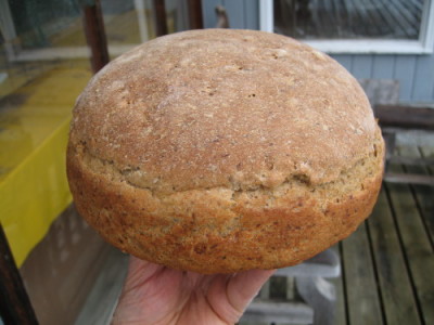 One-Rise Oat Bran and Ground Flax Bread
