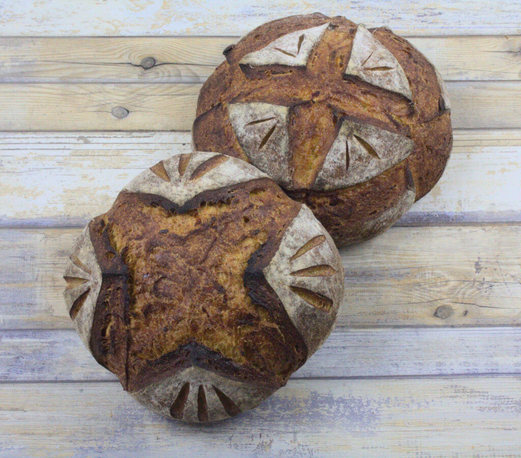 Sourdough Sweet Potato Asiago Spelt Loaf