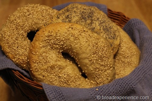 Sourdough Bagels