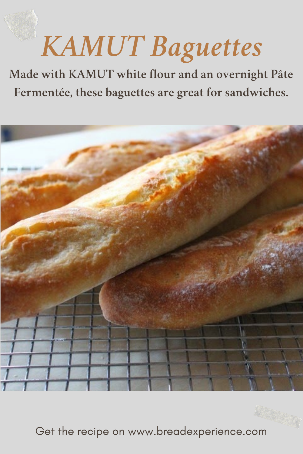 KAMUT Baguettes Pin