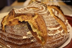 KAMUT Pain Au Levain 