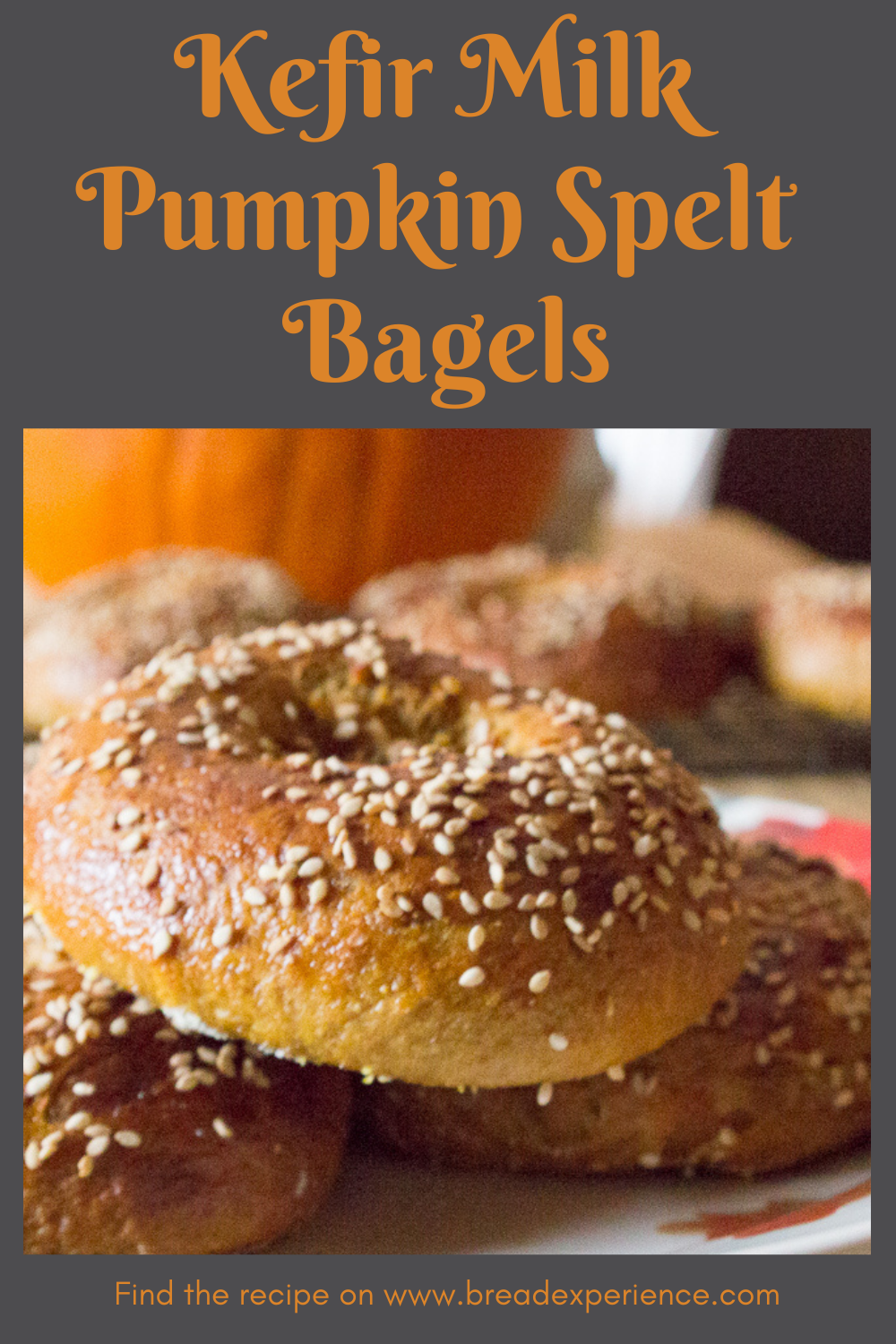 Kefir Milk Pumpkin Spelt Bagels Pin