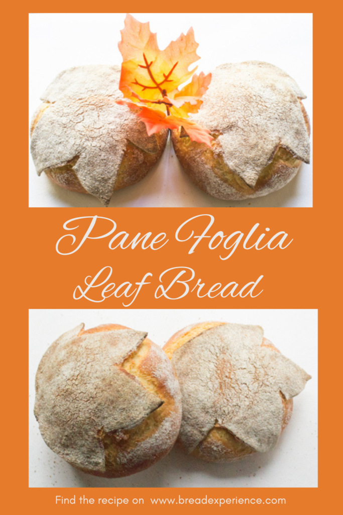 Leaf Bread Pane Foglia Pin