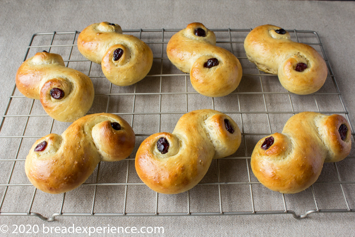 St. Lucia Saffron Buns on cooling rack