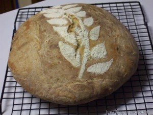 Maori-Bread 030