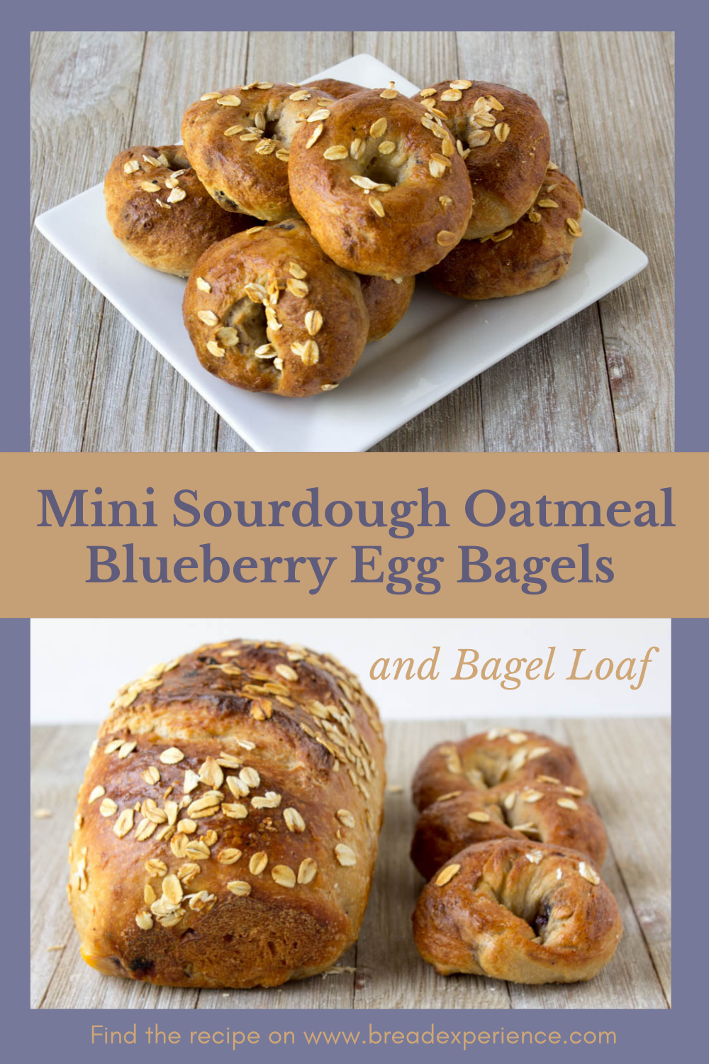 Mini Sourdough Oatmeal Blueberry Egg Bagels and Bagel Loaf 