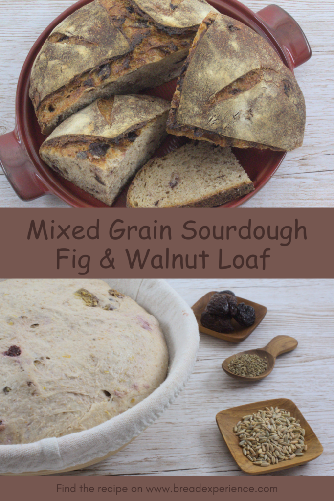 Mixed Grain Sourdough Fig and Walnut Loaf Pin