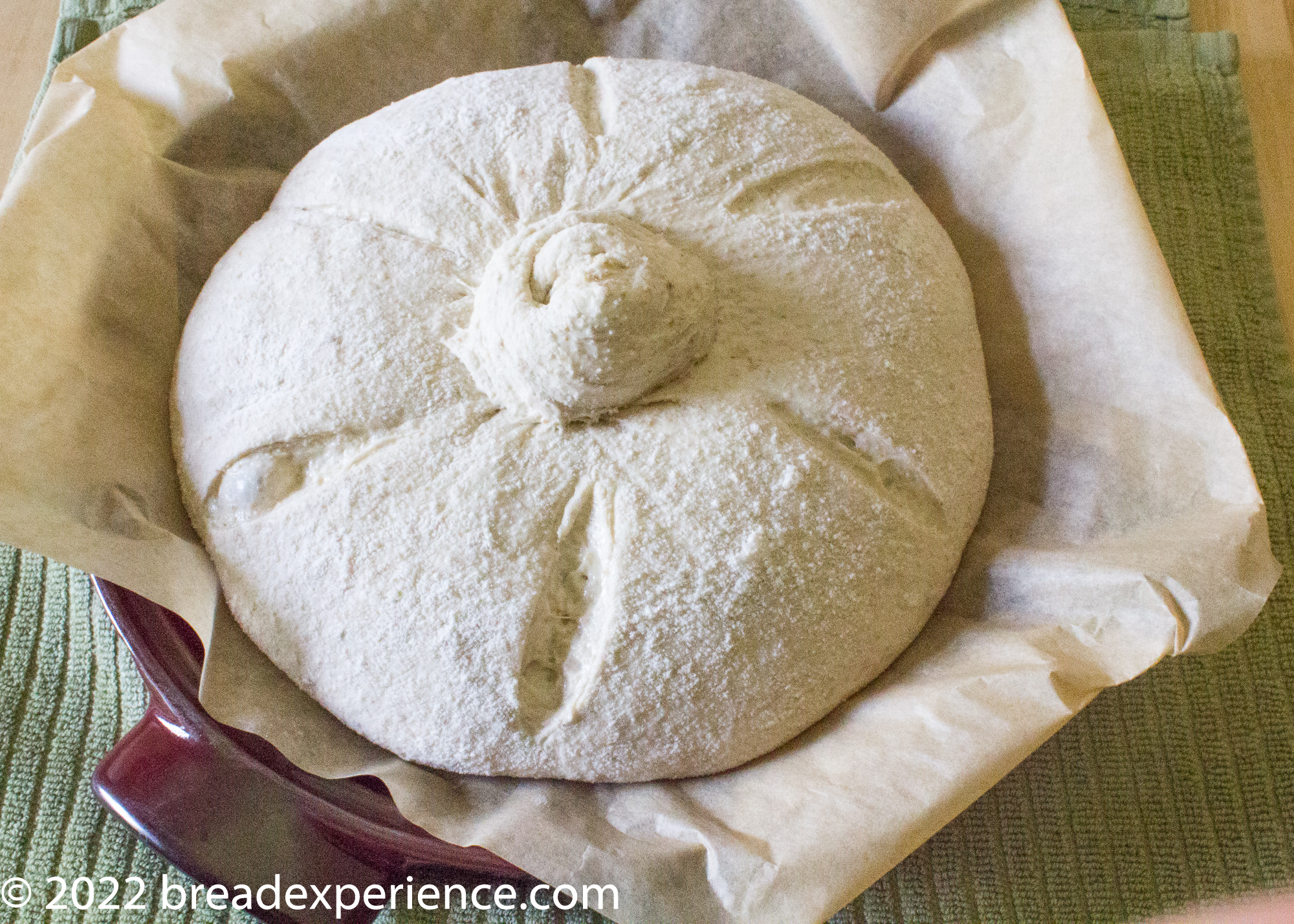 Pan Gallego on Bread Cloche