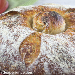 Pan Gallego on Bread Cloche