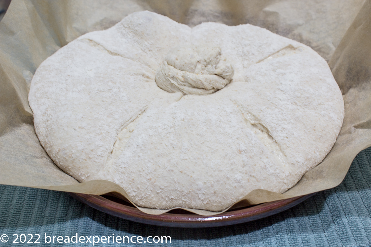 dough barely fits in bread cloche base