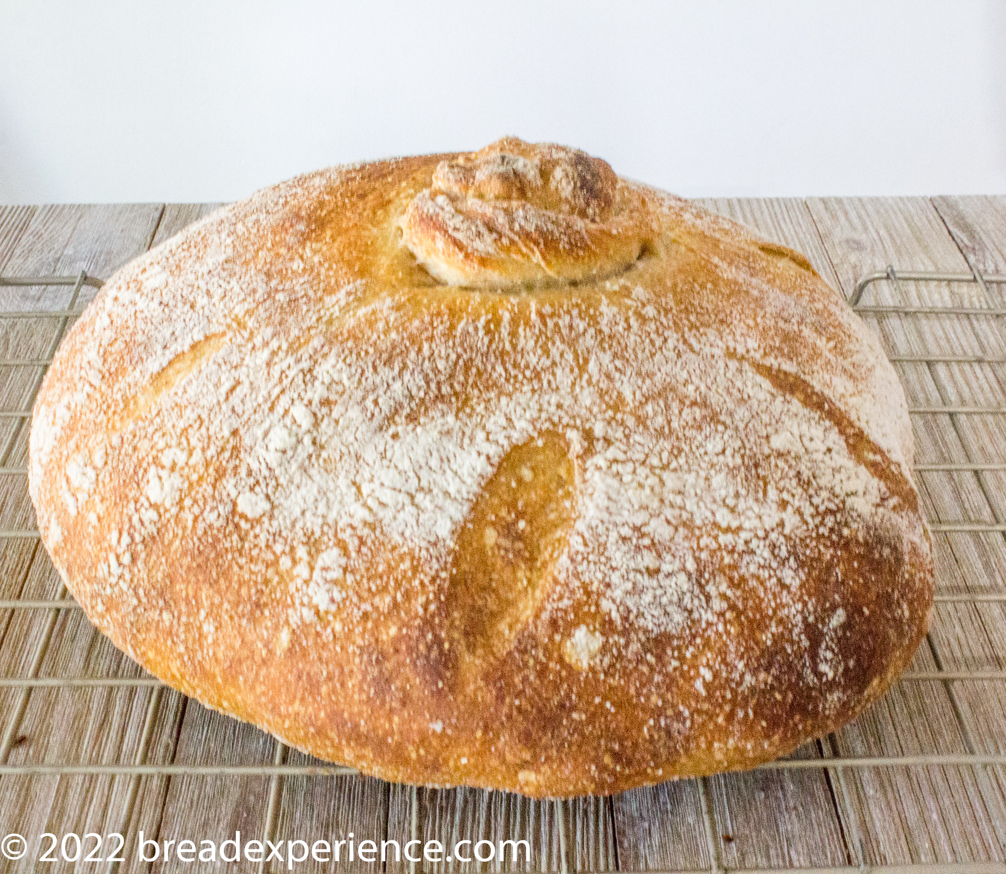 Pan Gallego 1st Bake