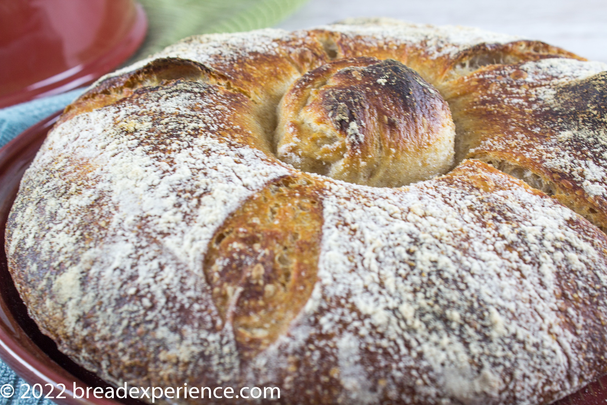 Pan Gallego on Bread Cloche