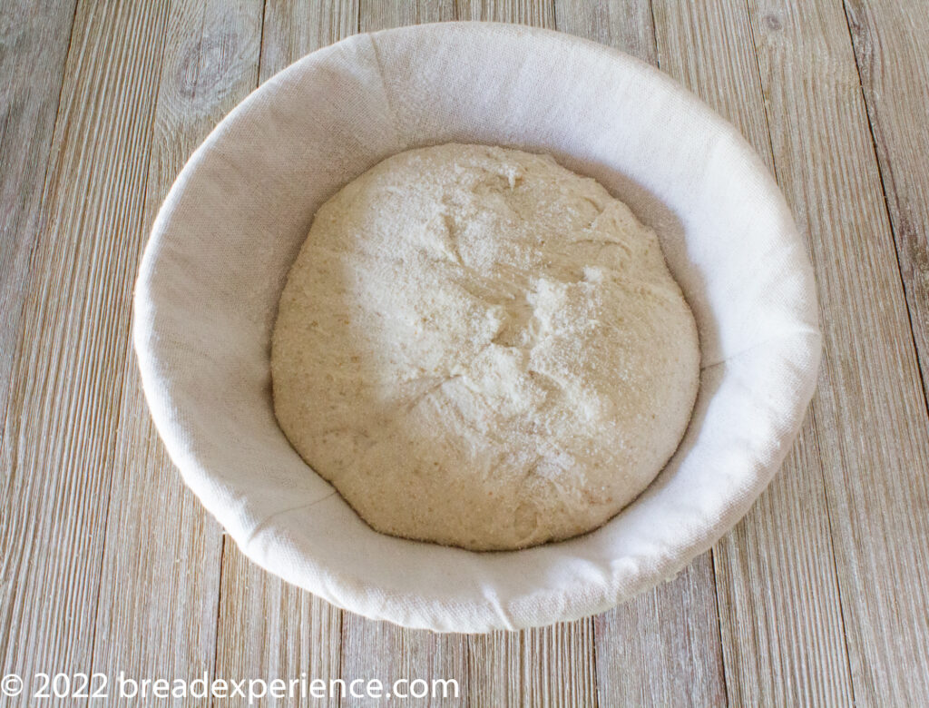 Galician Bread in banneton Shaped Galician dough resting in a linen-lined banneton, dusted with flour before proofing.