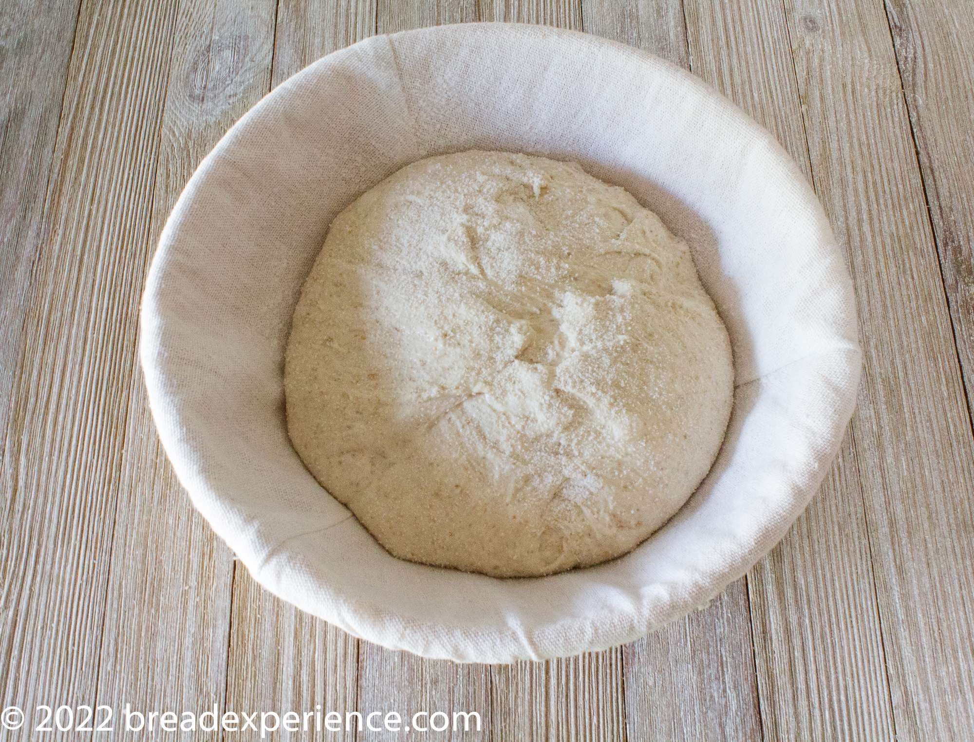 Galician Bread in banneton