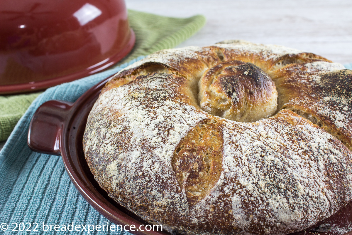 final bake - Pan Gallego