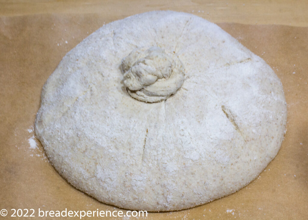 Shaped knot on top of Galician Bread Shaped Pan Gallego dough with central twisted knot and radial slashes, dusted with flour before baking.