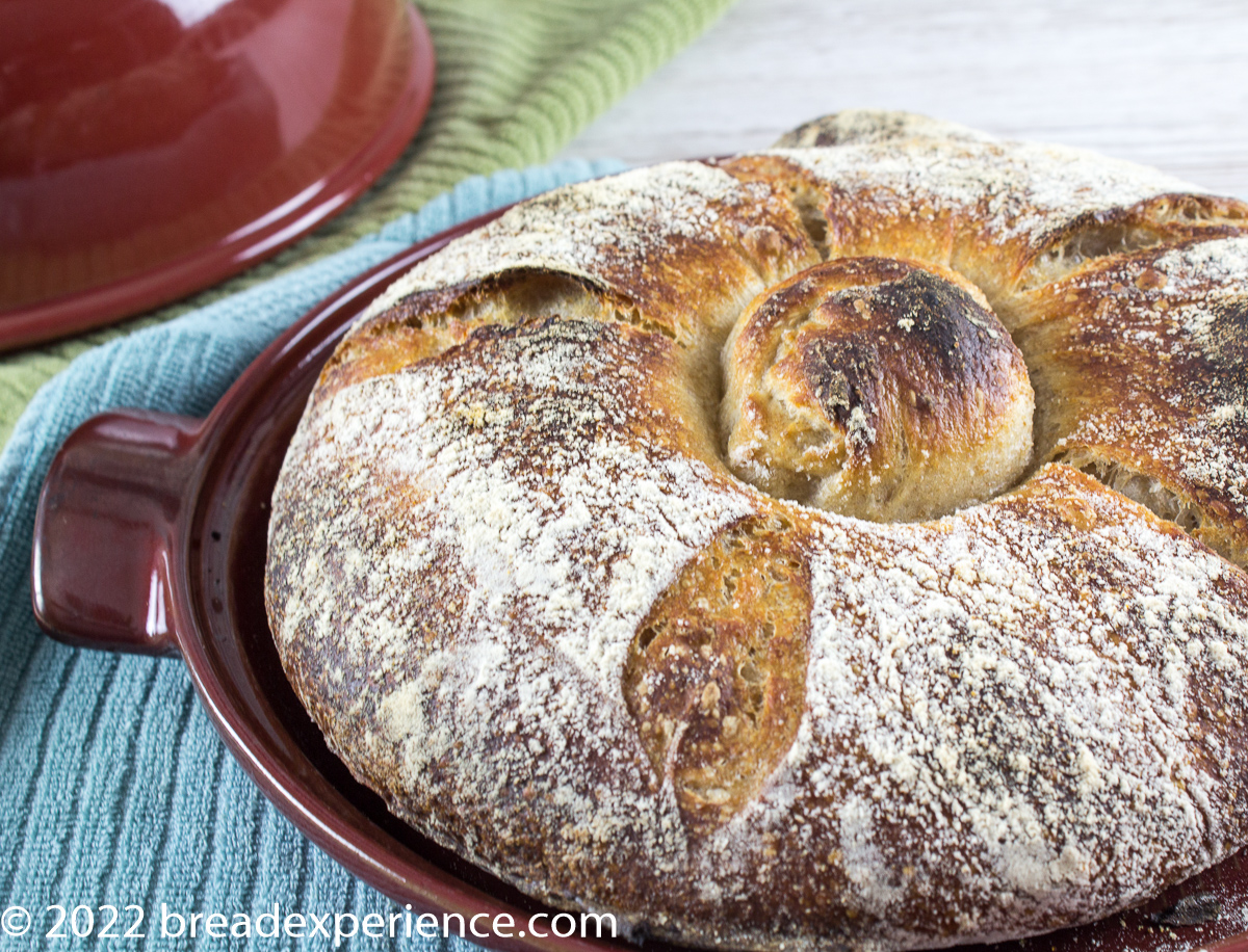 Galician Bread with bread cloche