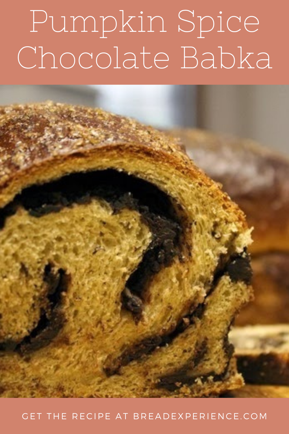 Pumpkin Spice Chocolate Babka Pin