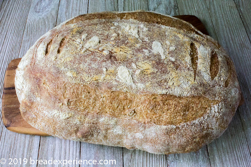 Birds stenciled on Rheinbrot Loaf