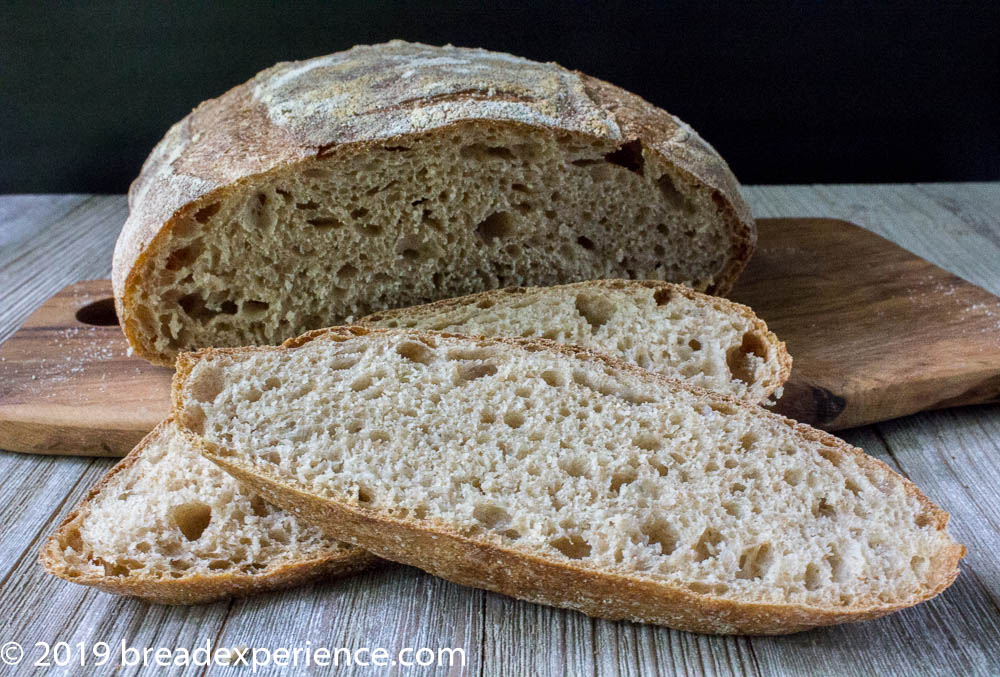 Crumb shot of Rheinbrot