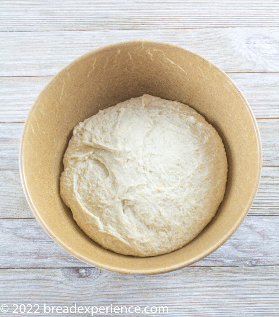 Sfincione Bagarese Dough