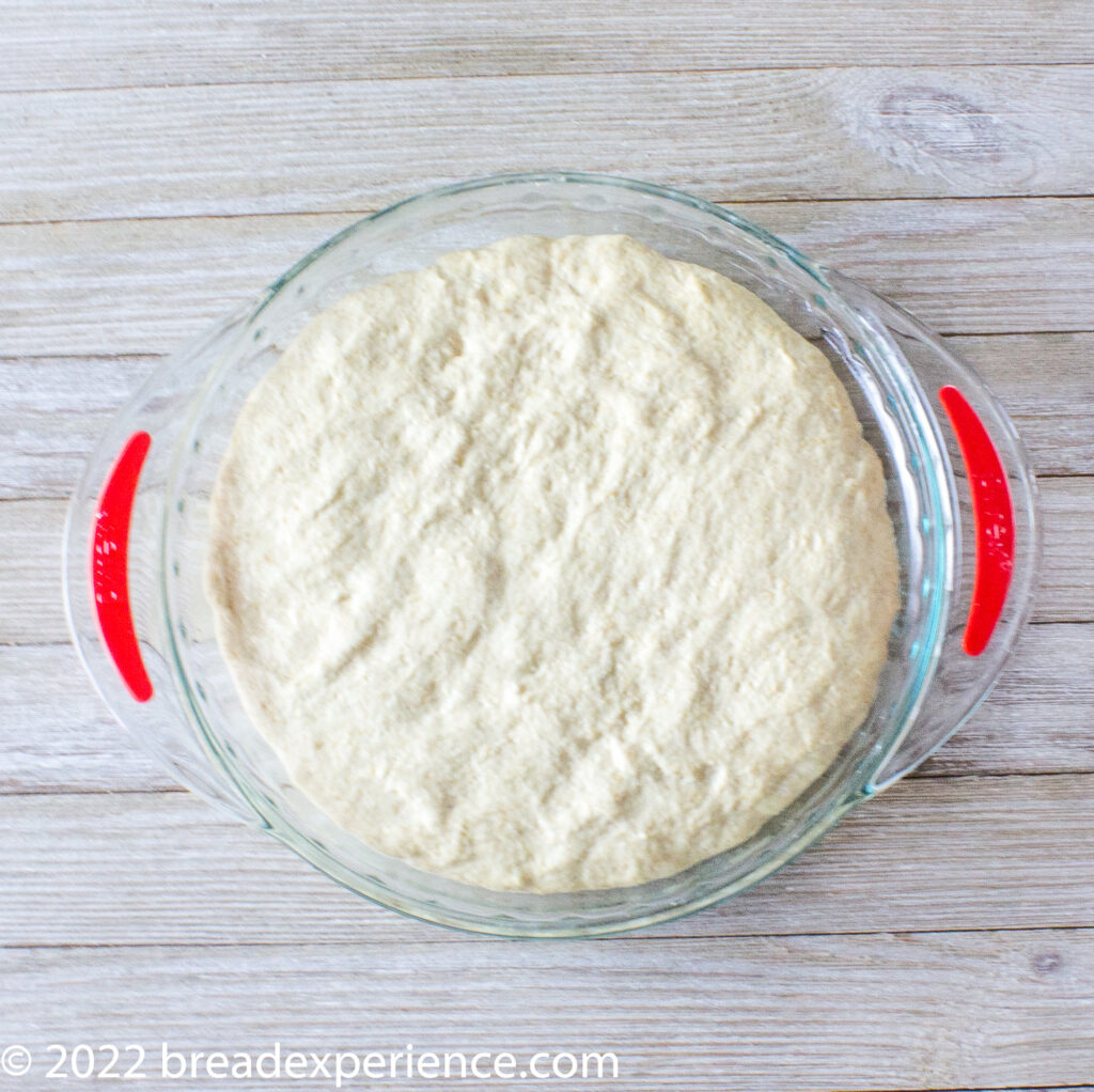 Sfincione dough layer
